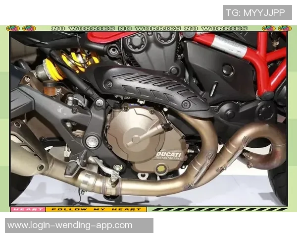 探索耐克足球鞋毒蜂系列的创新设计与卓越性能助你在赛场上闪耀夺目